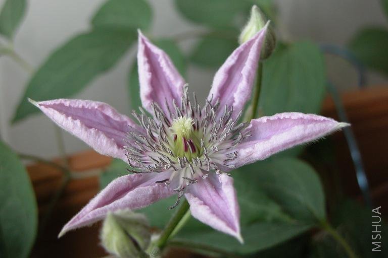 2008.5.12����07.JPG