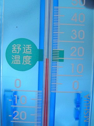 ������¶�19.5