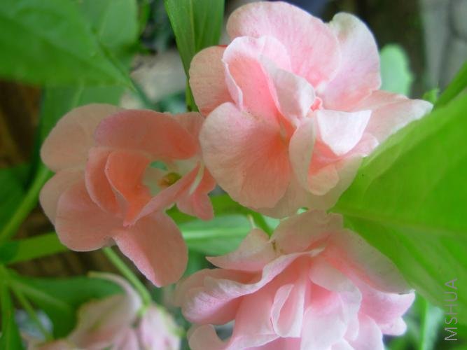 DSCN2355.jpg