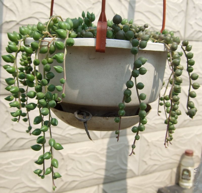 5��14�ŵķ���