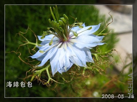 �ȿ���һ���Ѿ�ת��