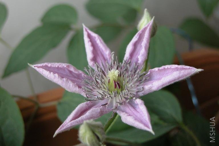 2008.5.12����06.JPG