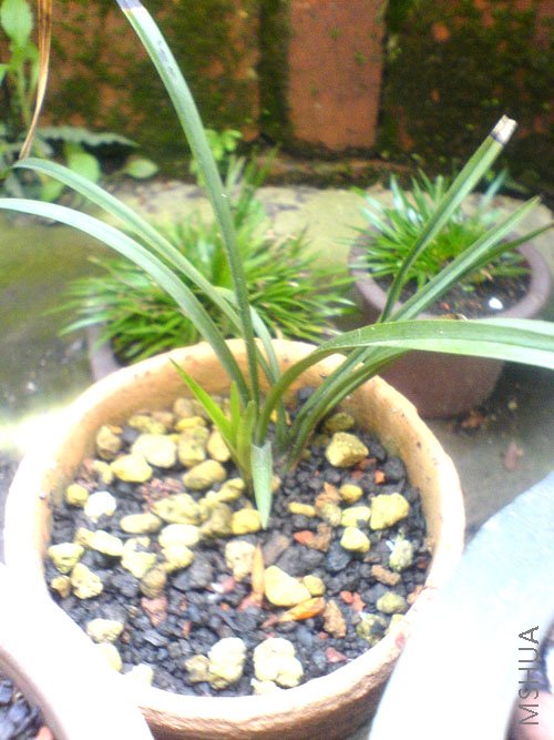 ��Ƭ 069.jpg