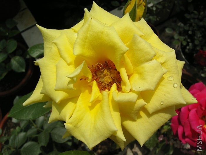 ������Ҳȫ����