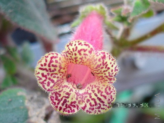 �컨è03768-1_resize.jpg