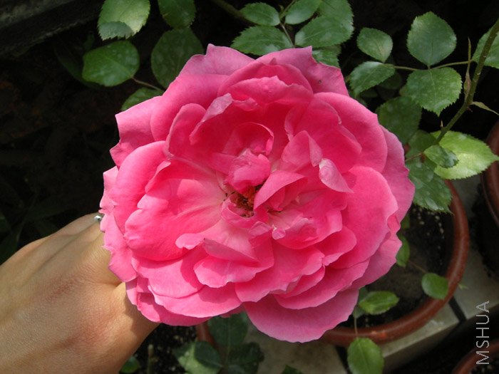 ������Ĳ�֪��Ҳȫ����