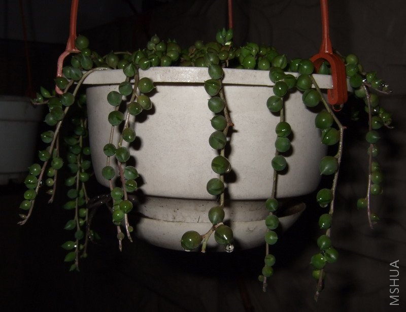 5��8�ŵķ���