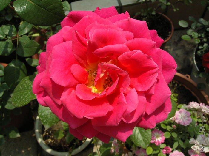 �ͻ���컨ȫ��֮��