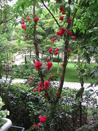 �������ϵĴ����