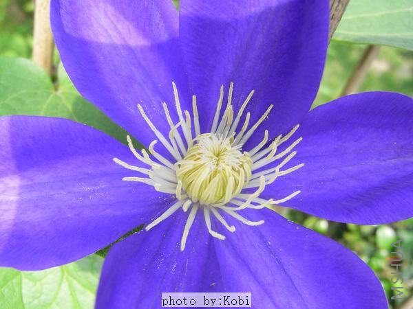 �¿�������������2��