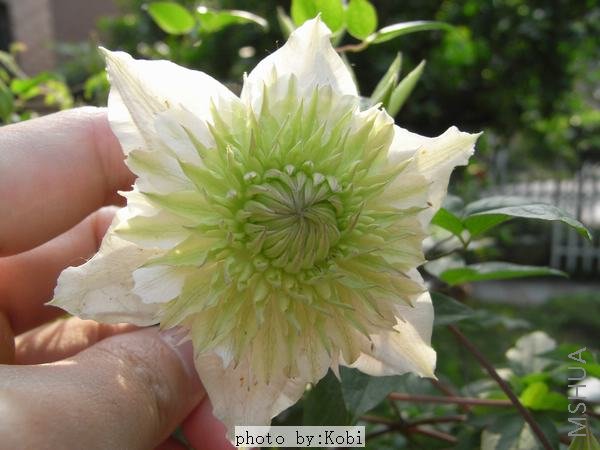 �������Ͽ������Ͻ�ĵ�����������е���