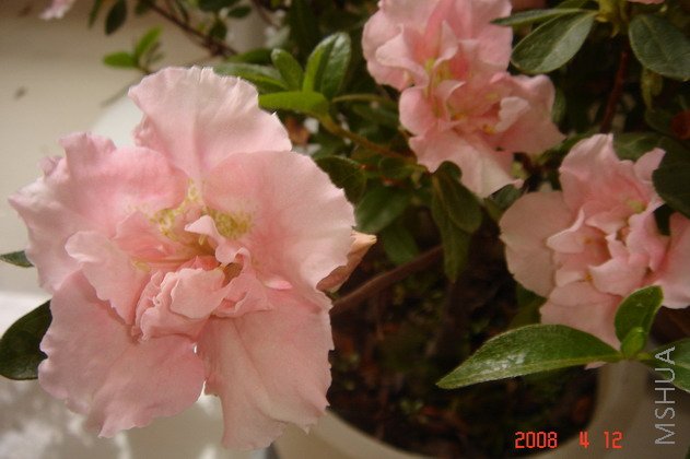 ��Ƭ 086.jpg