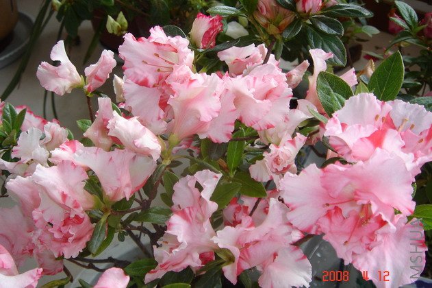 ��Ƭ 080.jpg