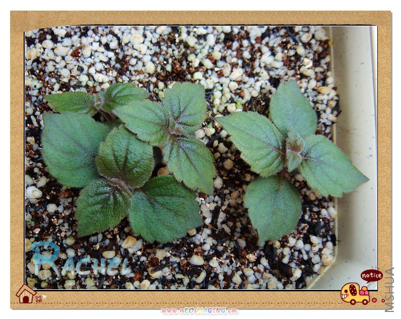 �����յ�