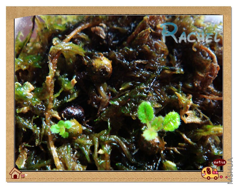 ���û���û�ж��