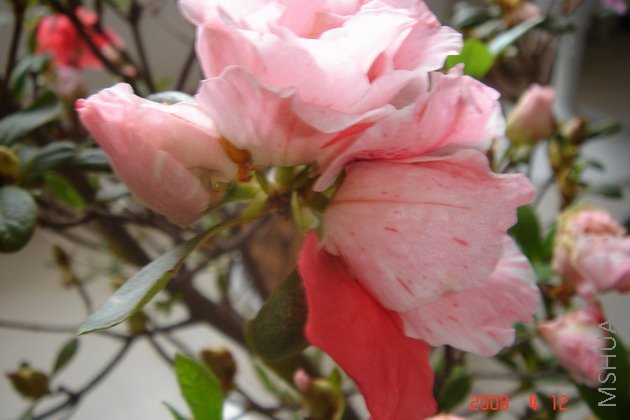 ��Ƭ 082.jpg