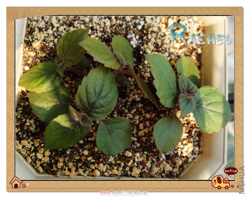 �����յ�