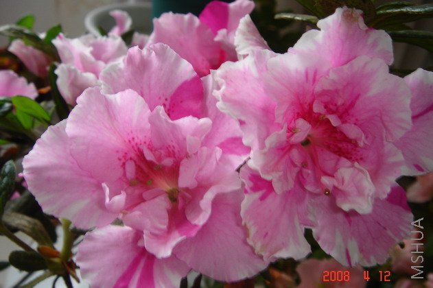 ��Ƭ 083.jpg