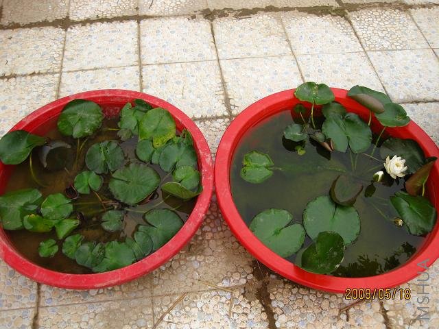 ˯�����ã�һ�裲��һ�裱