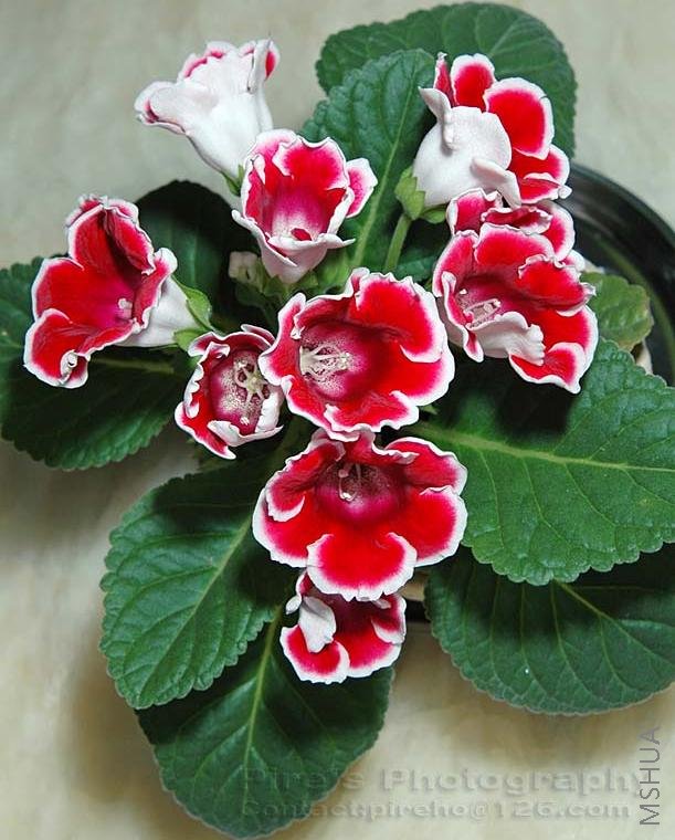 ����10����