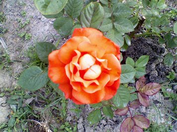 051708065343.jpg