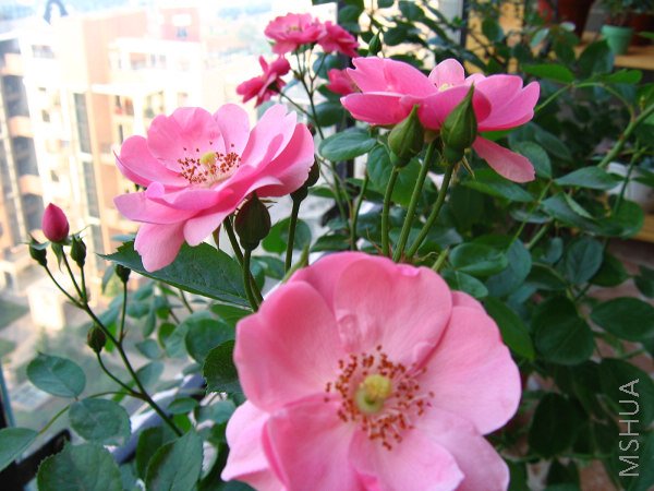 IMG_0327.JPG
