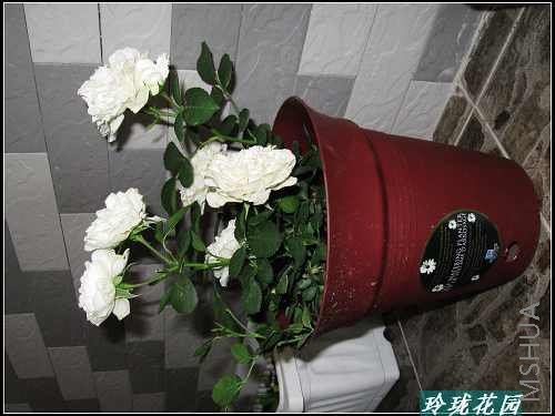 ���� 010_nEO_IMG.jpg