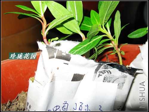  ����������,���к�ϵ��