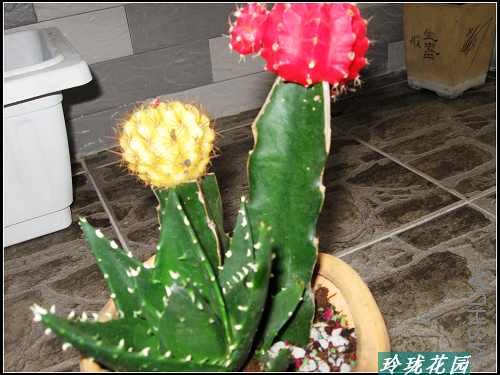 ���� 005_nEO_IMG.jpg