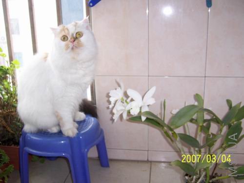 ���� è�Ȼ��� 100_1747.jpg