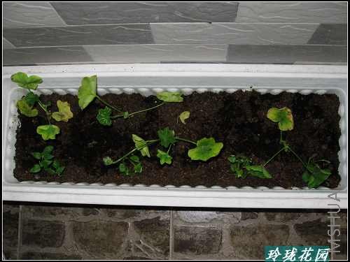 ���� 008_nEO_IMG.jpg