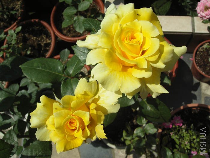 �����Ļ�ɫ�¼���ô����������