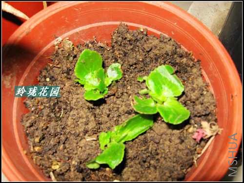 �ļ�����,�͵�