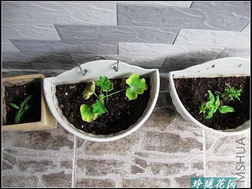 ���� 007_nEO_IMG.jpg