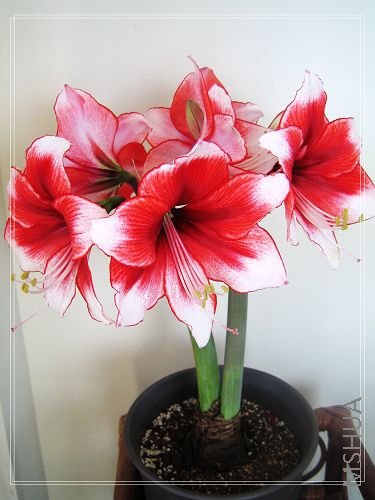 ��Ƭ 013.jpg