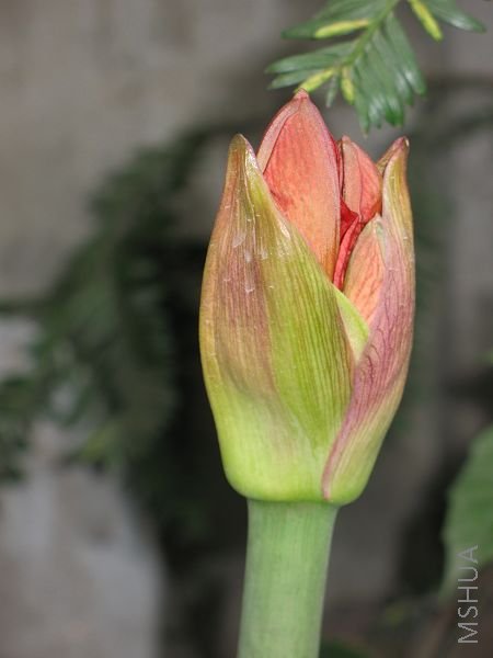 IMG_2363.jpg