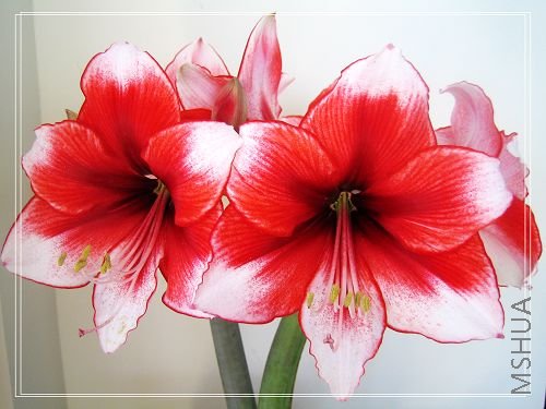��Ƭ 015.jpg