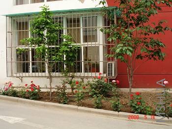 ������̨����