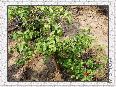 ǰ�����������Ū�����ˣ��׷ʷ���Щ���ֱ࣬�����������ˣ���֪�������в��У���