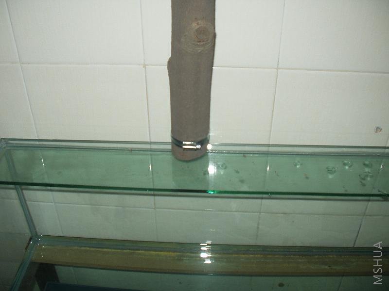 2.JPG