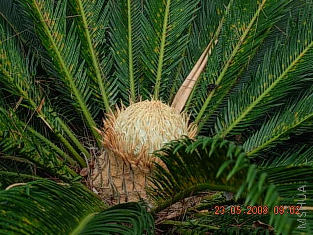 DSCN0209.JPG