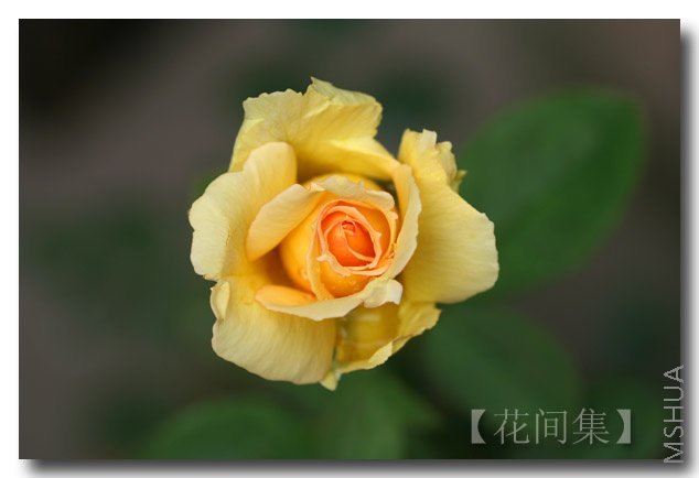 IMG_2325 ����.jpg