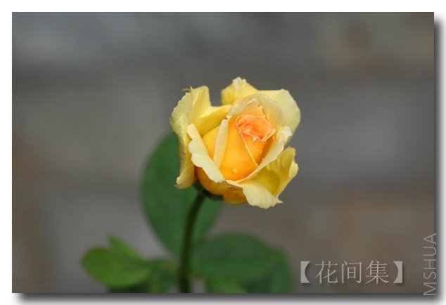 IMG_2324 ����.jpg