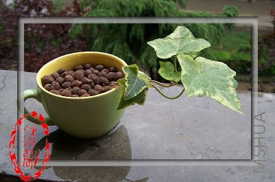 100_7113.JPG