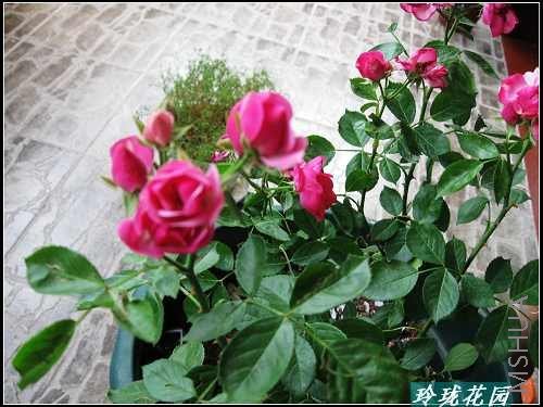 ���� 004_nEO_IMG.jpg