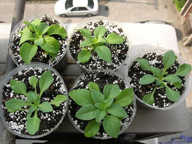 ����һ��