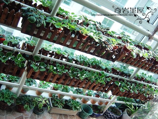 ����ĸ������ڰ����ˡ�