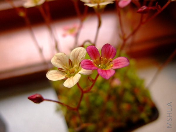 DSCF7414.jpg