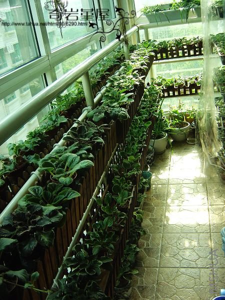 ��̨���������������ÿ�������Сʱ��̫����