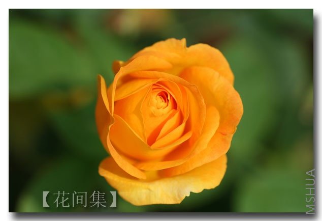 IMG_2191 ����.jpg